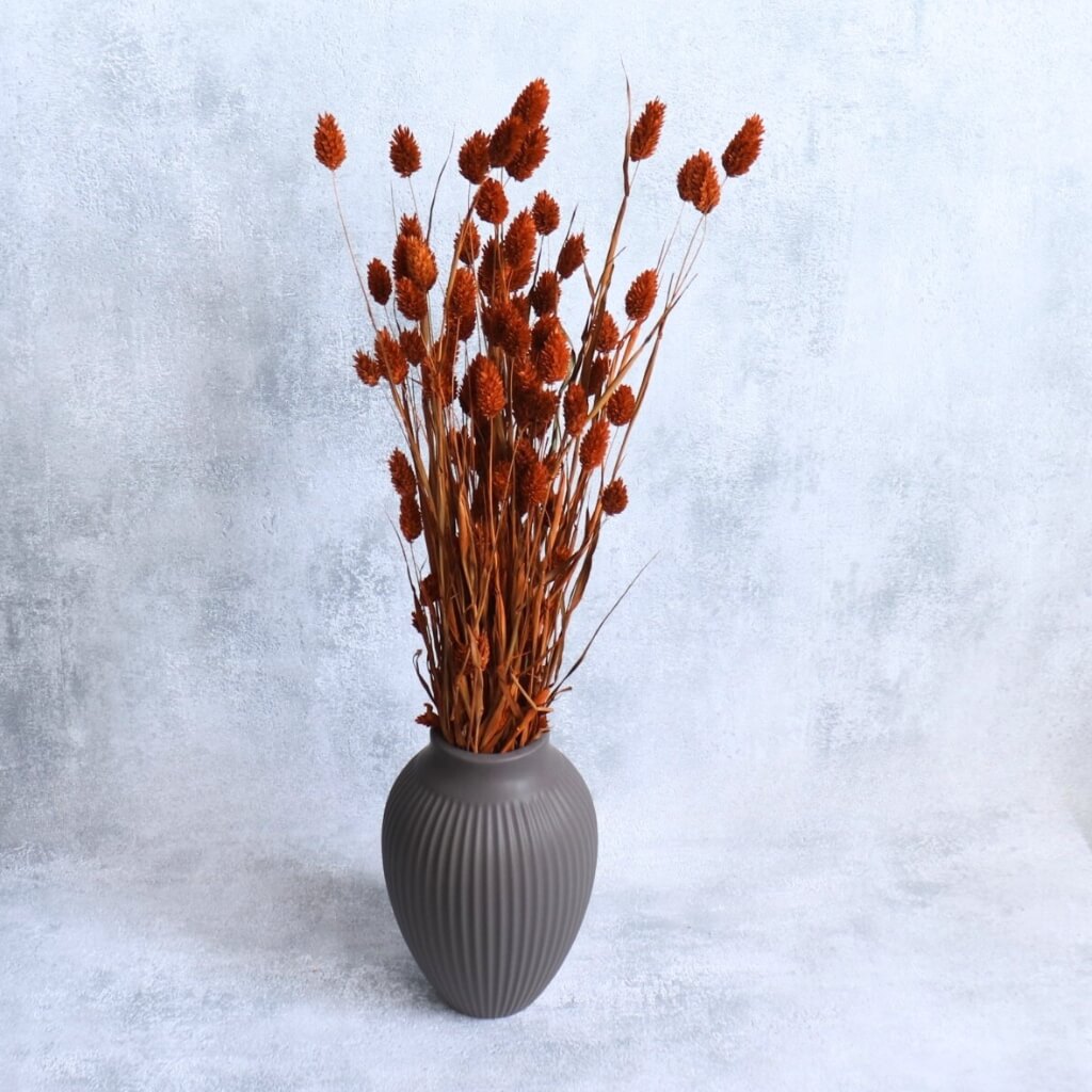 Sušený Phalaris v barvě terracotta – přírodní dekorativní tráva pro podzimní a rustikální aranžmá